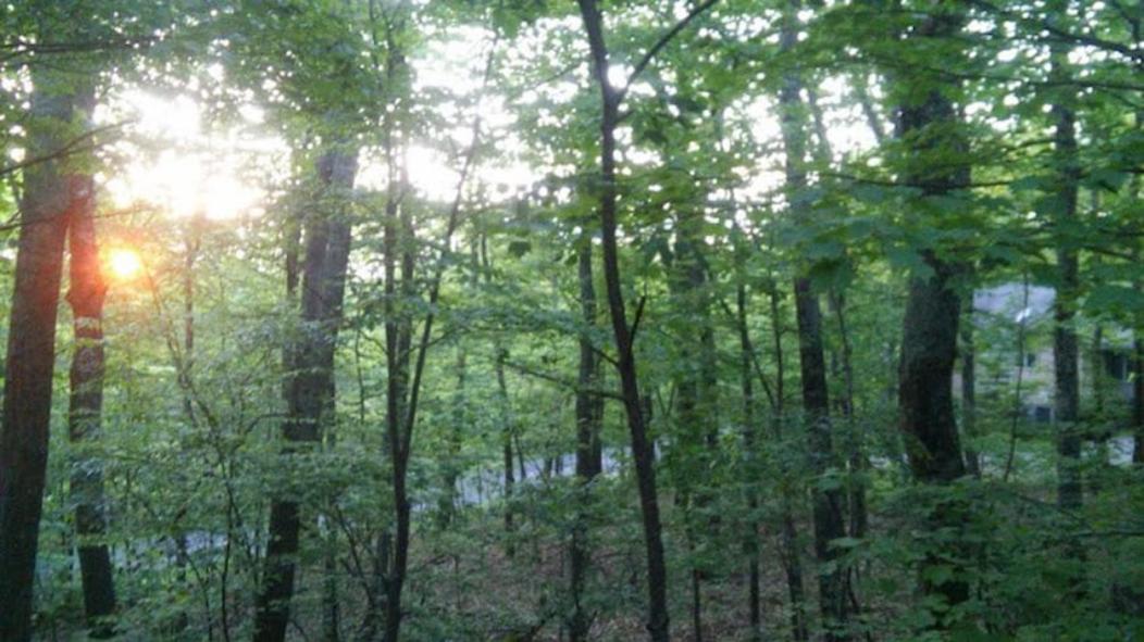 Wintergreen Mount Torry Furnace Екстер'єр фото