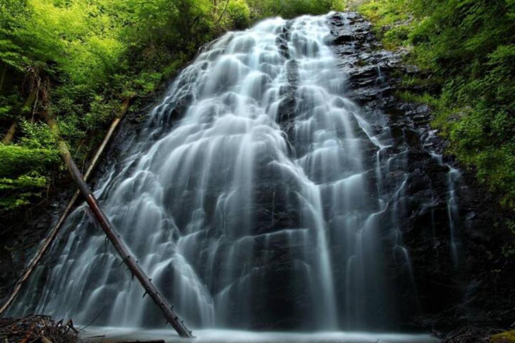 Wintergreen Mount Torry Furnace Екстер'єр фото